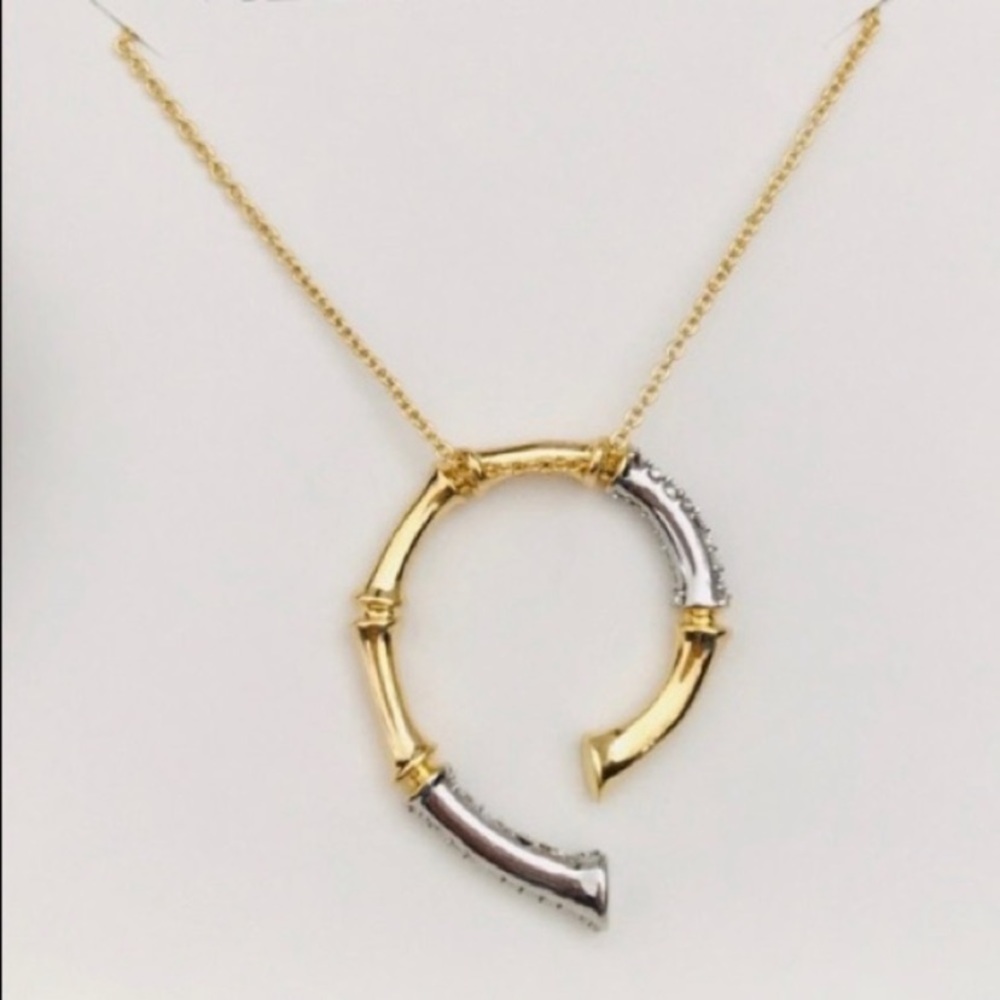 Alexis Bittar Gold & Silver Crystal Horseshoe Bamboo Pendant Adjustable Necklace - Picture 9 of 9
